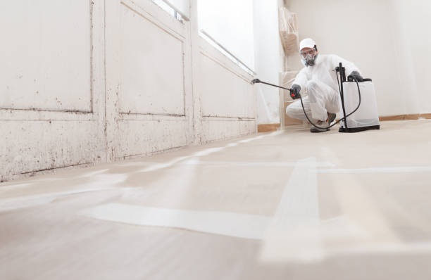 24/7 Emergency Mold Removal experts in Barrington, NJ