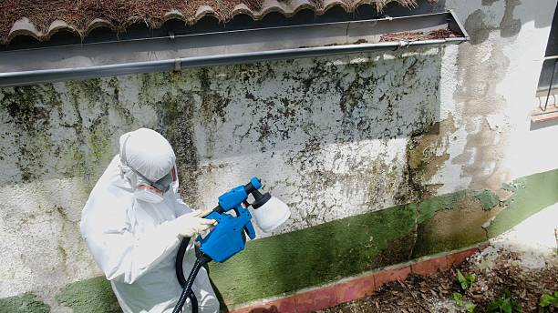 Top rated local Basement Mold Removal specialists in Barrington, NJ